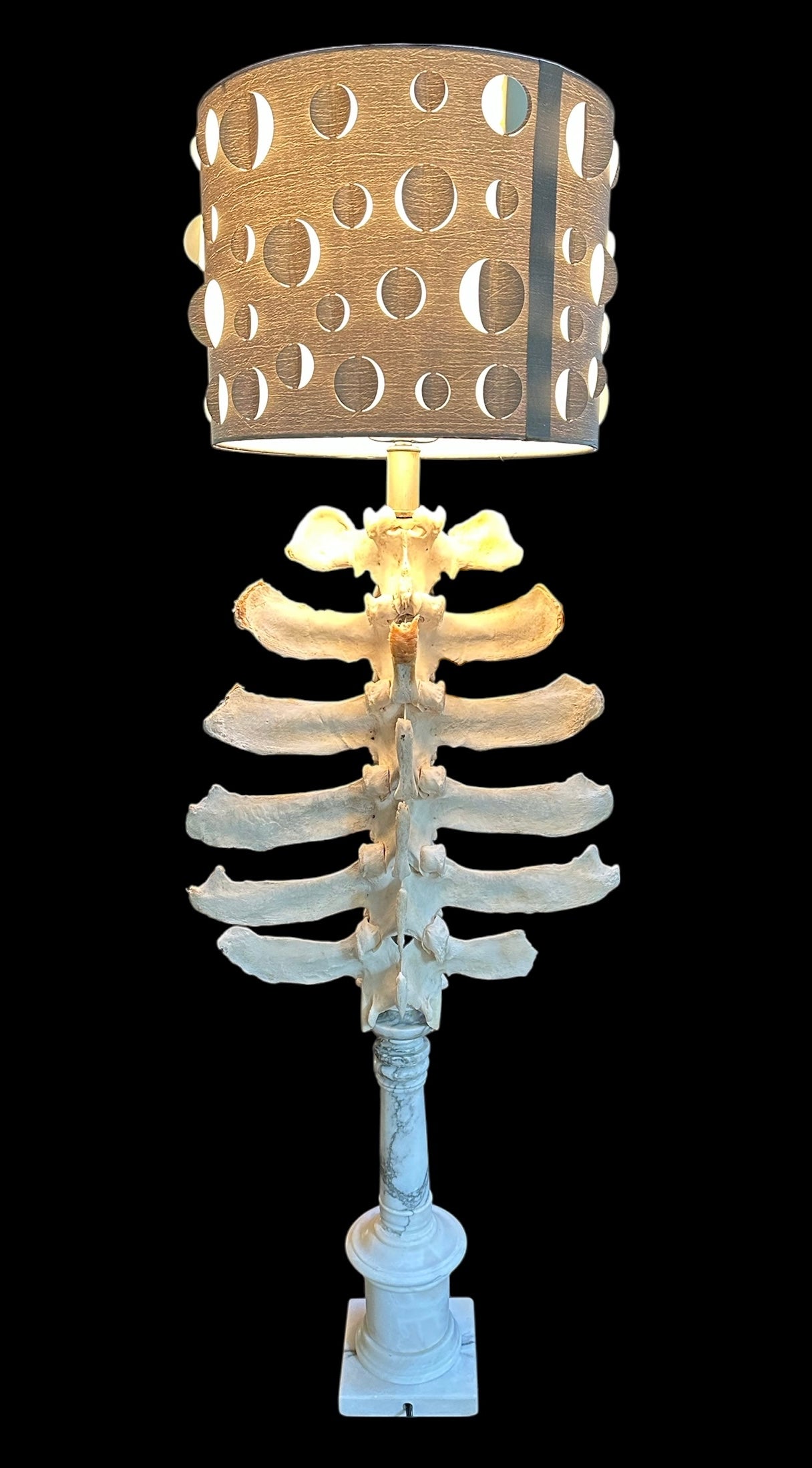 Cow Vertebrae Lamp on Marble Base